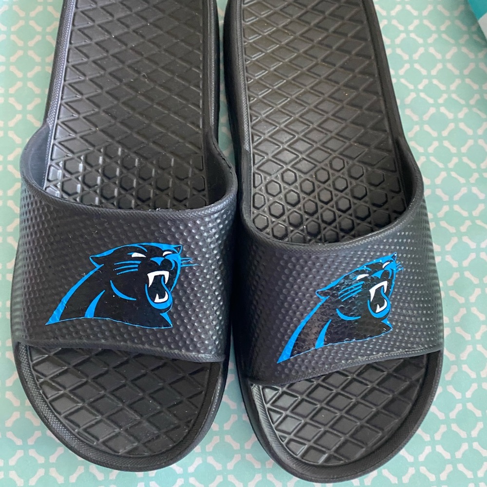 Carolina Panthers Slides